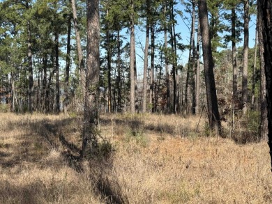 Lake Lot For Sale in Brookeland, Texas