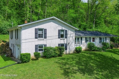 Lake Home For Sale in Pleasant Shade, Tennessee
