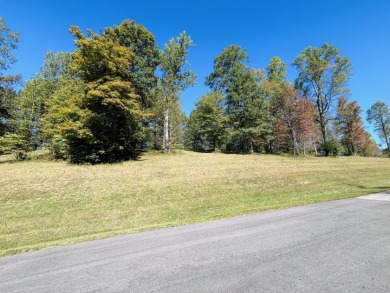This Stunning Building Lot is Ready for You! - photo 4