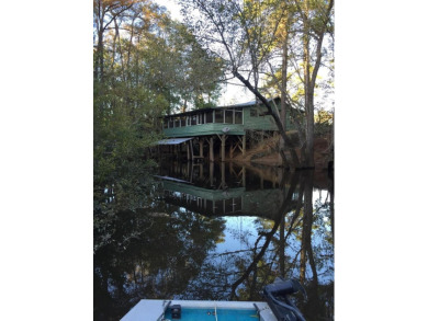 (private lake, pond, creek) Home For Sale in Bristol Florida