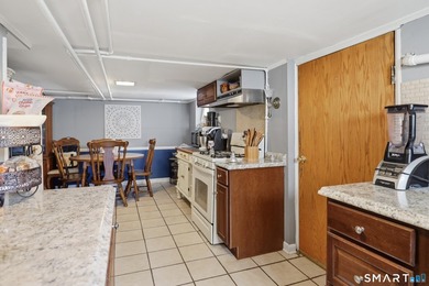 Vintage Charm Meets Modern Living! This sunny Glenbrook Colonial - photo 20