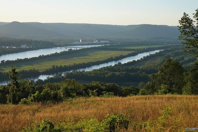 Lake Guntersville Home For Sale in Bryant Alabama