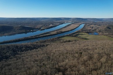 Discover this incredible hunting and recreational tract on Sand - photo 2