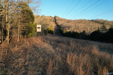 Discover this incredible hunting and recreational tract on Sand - photo 4