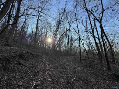 Discover this incredible hunting and recreational tract on Sand - photo 5