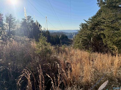 Discover this incredible hunting and recreational tract on Sand - photo 7