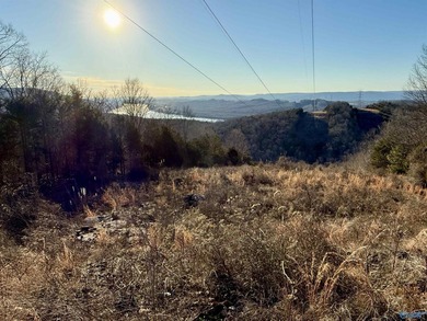 Discover this incredible hunting and recreational tract on Sand - photo 8