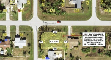 Large corner lot in the very fast growing city of Port Charlotte - photo 1