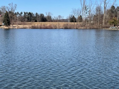 Omena Lake Lot For Sale in Sturgis Michigan