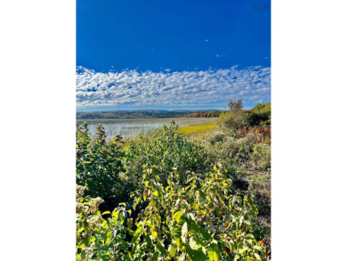 Lake Lot For Sale in Kenloch,