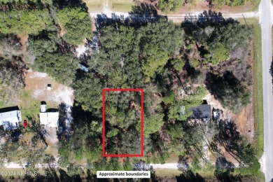 Lake Lot For Sale in Georgetown, Florida
