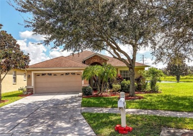 (private lake, pond, creek) Home For Sale in Wesley Chapel Florida