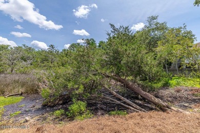 Welcome to Lowcountry living in the heart of St. Simons Island! - photo 41