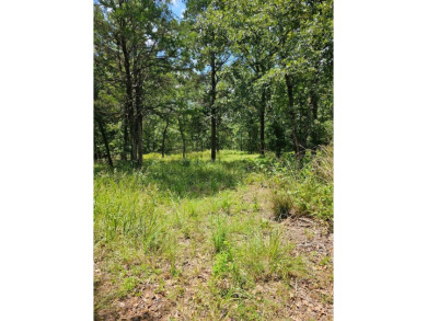 Safari Waters Ranch  Lot For Sale in Larue Texas