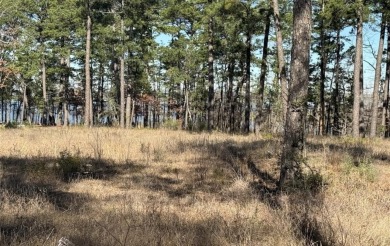  Lot For Sale in Brookeland Texas