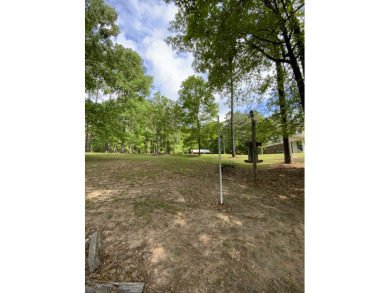LOT - photo 1
