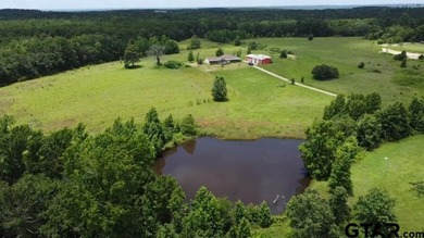 (private lake, pond, creek) Home For Sale in Mineola Texas