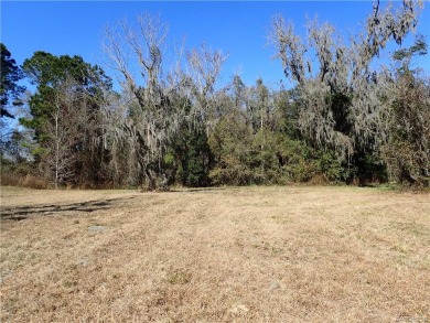 (private lake, pond, creek) Acreage For Sale in Wellborn Florida