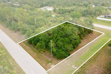 Northport Waterway Lakes and Canals Lot For Sale in North Port Florida