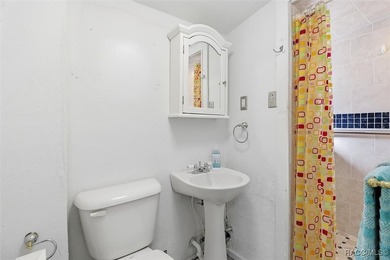 TWO FOR ONE! Set on a full acre in the heart of Old Homosassa - photo 14