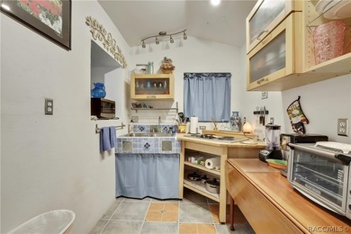 TWO FOR ONE! Set on a full acre in the heart of Old Homosassa - photo 23