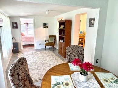 TWO FOR ONE! Set on a full acre in the heart of Old Homosassa - photo 28