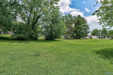 Welcome to 261 Glenview Dr in beautiful Estill Springs, TN! This - photo 35