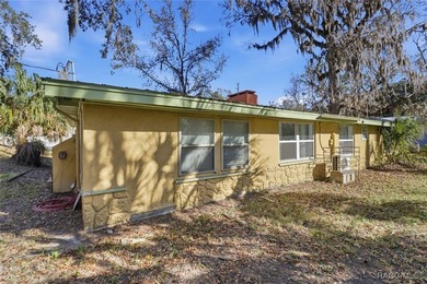 TWO FOR ONE! Set on a full acre in the heart of Old Homosassa - photo 37