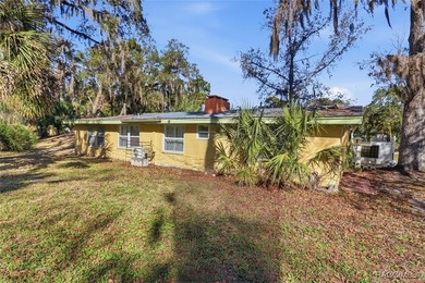TWO FOR ONE! Set on a full acre in the heart of Old Homosassa - photo 38