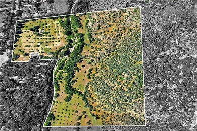 Looking for acreage? Creek? and lots of privacy ? Here you go - photo 1