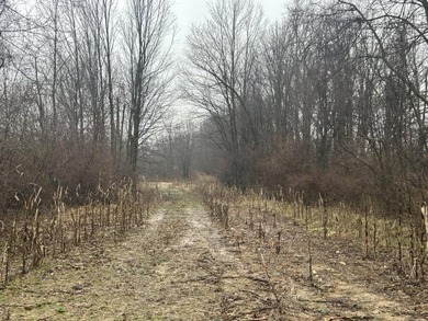 (private lake, pond, creek) Acreage For Sale in Hillsdale Michigan