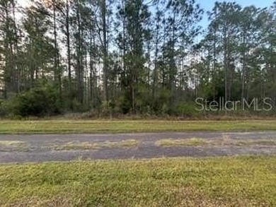 Lake Weohyakapka Lot For Sale in Indian Lake Estates Florida