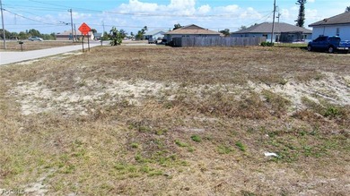 *PHENOMENAL OPPORTUNITY TO BUILD YOUR DREAM HOME IN OVERSIZED - photo 8
