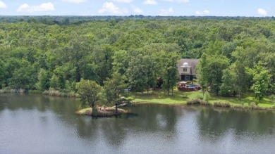 Private lake property with island, pool, & observatory - photo 5