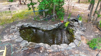 Newer roof and septic - photo 4