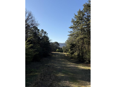 Prime Development Opportunity in Heber Springs, AR. Half of an - photo 2
