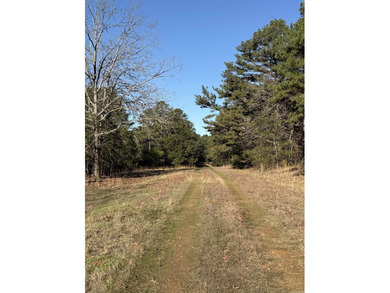 Prime Development Opportunity in Heber Springs, AR. Half of an - photo 3