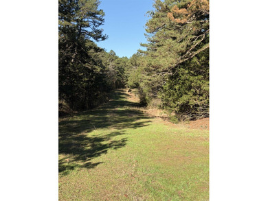 Prime Development Opportunity in Heber Springs, AR. Half of an - photo 6