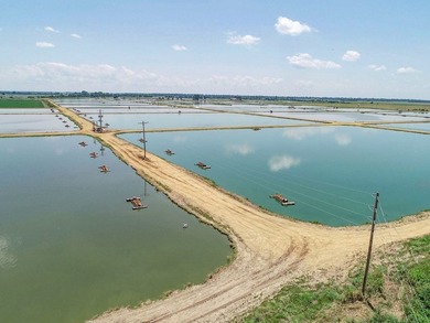 Welcome to Beasley Bayou Fish Farm in Isola. This 376-acre - photo 11