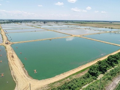 Welcome to Beasley Bayou Fish Farm in Isola. This 376-acre - photo 13