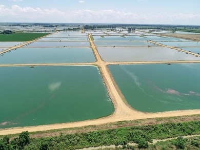 Welcome to Beasley Bayou Fish Farm in Isola. This 376-acre - photo 14
