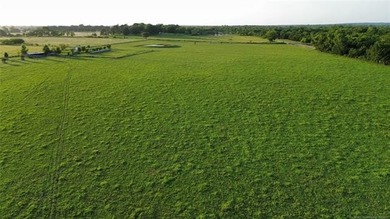 Nearly 64 acres of beautiful, cleared land-ready for livestock - photo 14