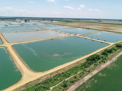 Welcome to Beasley Bayou Fish Farm in Isola. This 376-acre - photo 15
