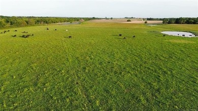 Nearly 64 acres of beautiful, cleared land-ready for livestock - photo 15
