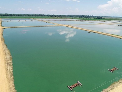 Welcome to Beasley Bayou Fish Farm in Isola. This 376-acre - photo 17