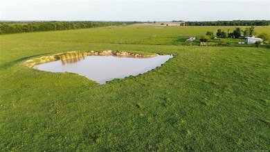 Nearly 64 acres of beautiful, cleared land-ready for livestock - photo 17