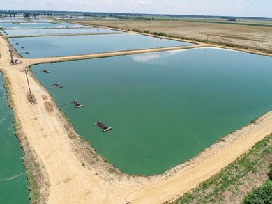 Welcome to Beasley Bayou Fish Farm in Isola. This 376-acre - photo 18