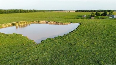 Nearly 64 acres of beautiful, cleared land-ready for livestock - photo 18