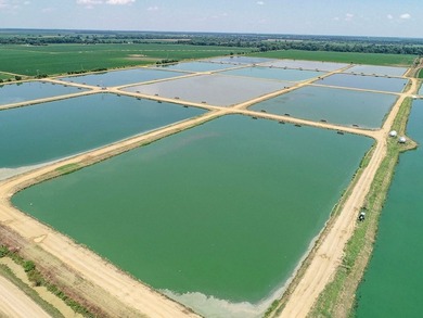Welcome to Beasley Bayou Fish Farm in Isola. This 376-acre - photo 19