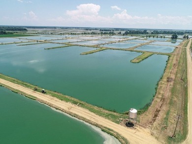 Welcome to Beasley Bayou Fish Farm in Isola. This 376-acre - photo 20